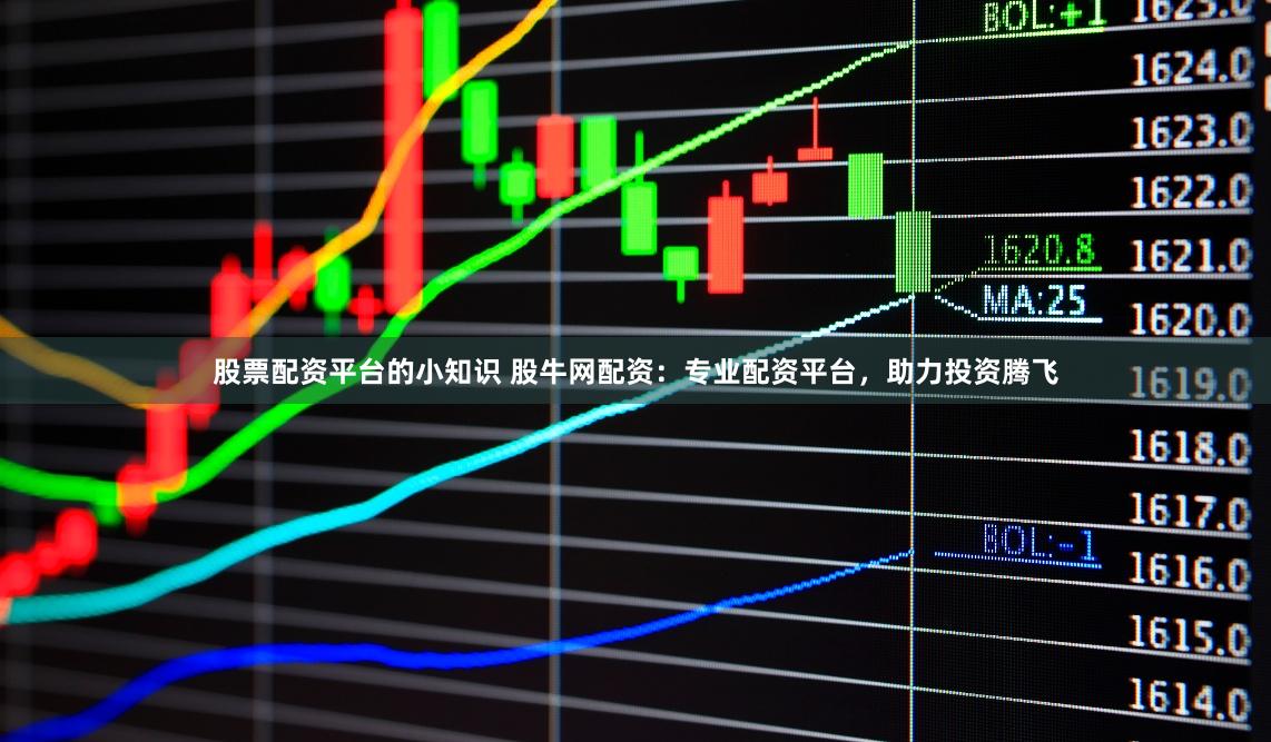 股票配资平台的小知识 股牛网配资：专业配资平台，助力投资腾飞